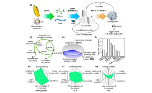 天津大學研發可持續DNA生物塑料 全流程綠色環保，用水即可回收