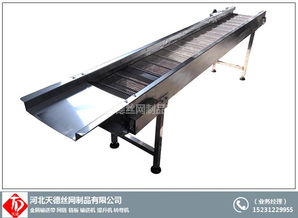 同安區(qū)鏈條網(wǎng)帶輸送機(jī)保養(yǎng)指南 天德不銹鋼輸送帶的專業(yè)養(yǎng)護(hù)之道